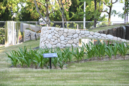 新生産棟前ロータリー造園02