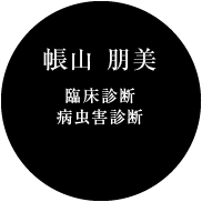 西尾 太寿（街路樹診断/腐朽病害診断/精密診断機器/オペレーター）