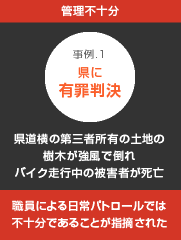 県道横の第三者所有の土地の樹木が強風で倒れバイク走行中の被害者が死亡した事件：職員による日常パトロールでは不十分であることが指摘され、県に有罪判決