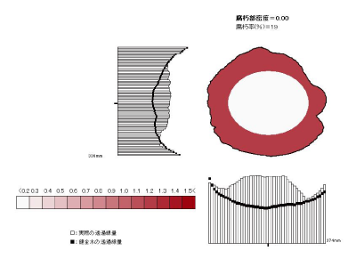 放射線ＣＴ測定データ