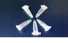 マツザイセンチュウ調査（LAMP法）