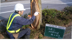 外科的治療