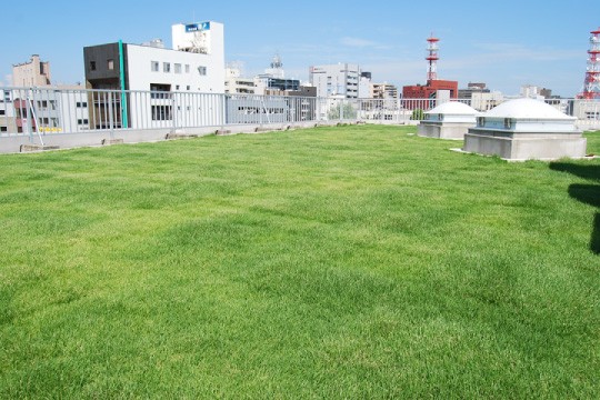 若林商店様屋上緑化02