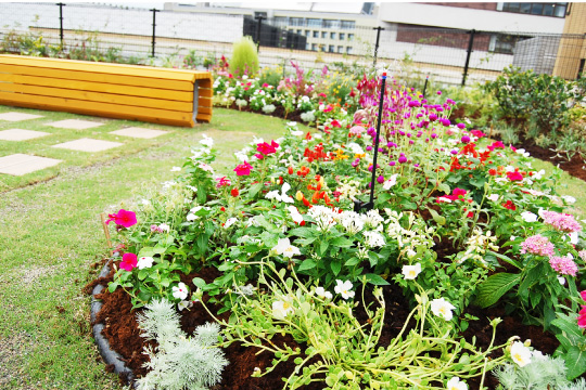 富山県庁舎本館屋上庭園03