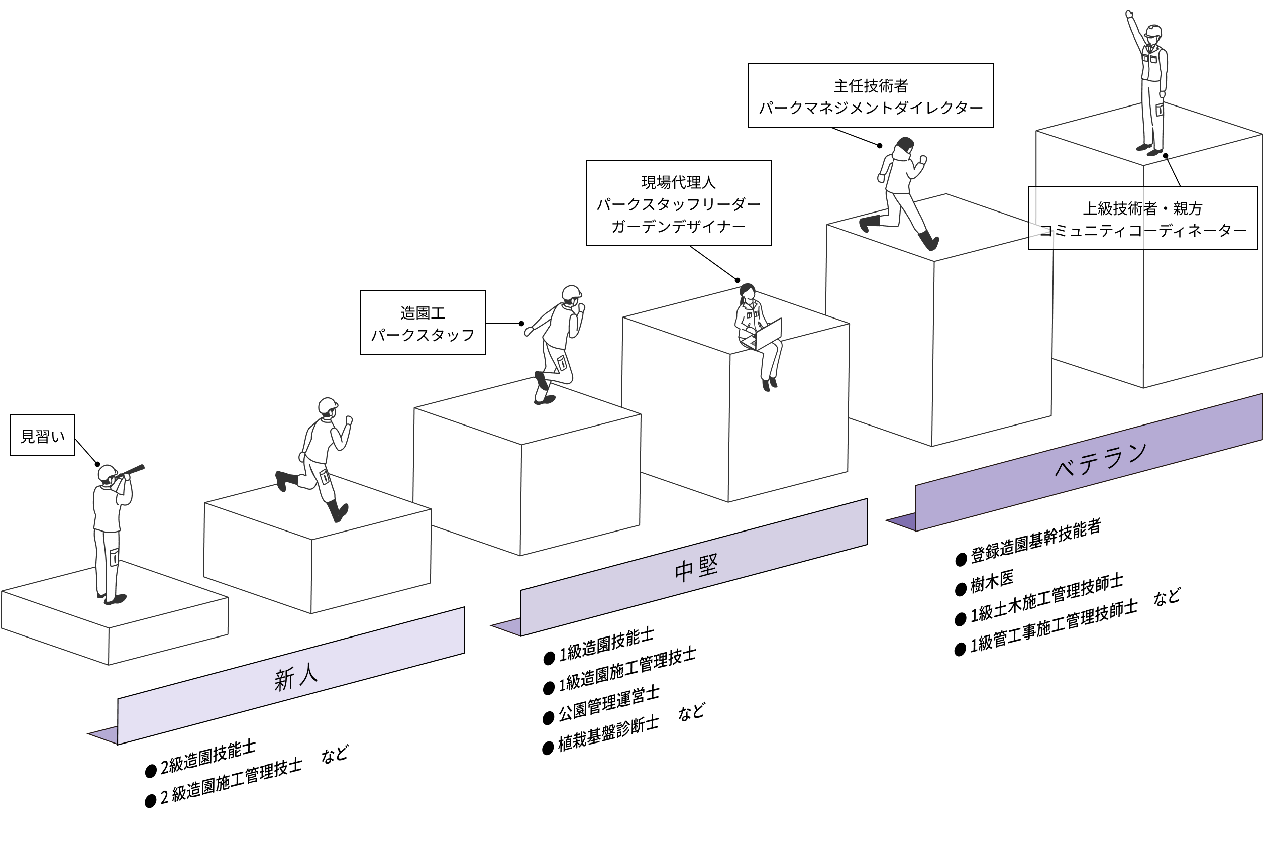 キャリアパス